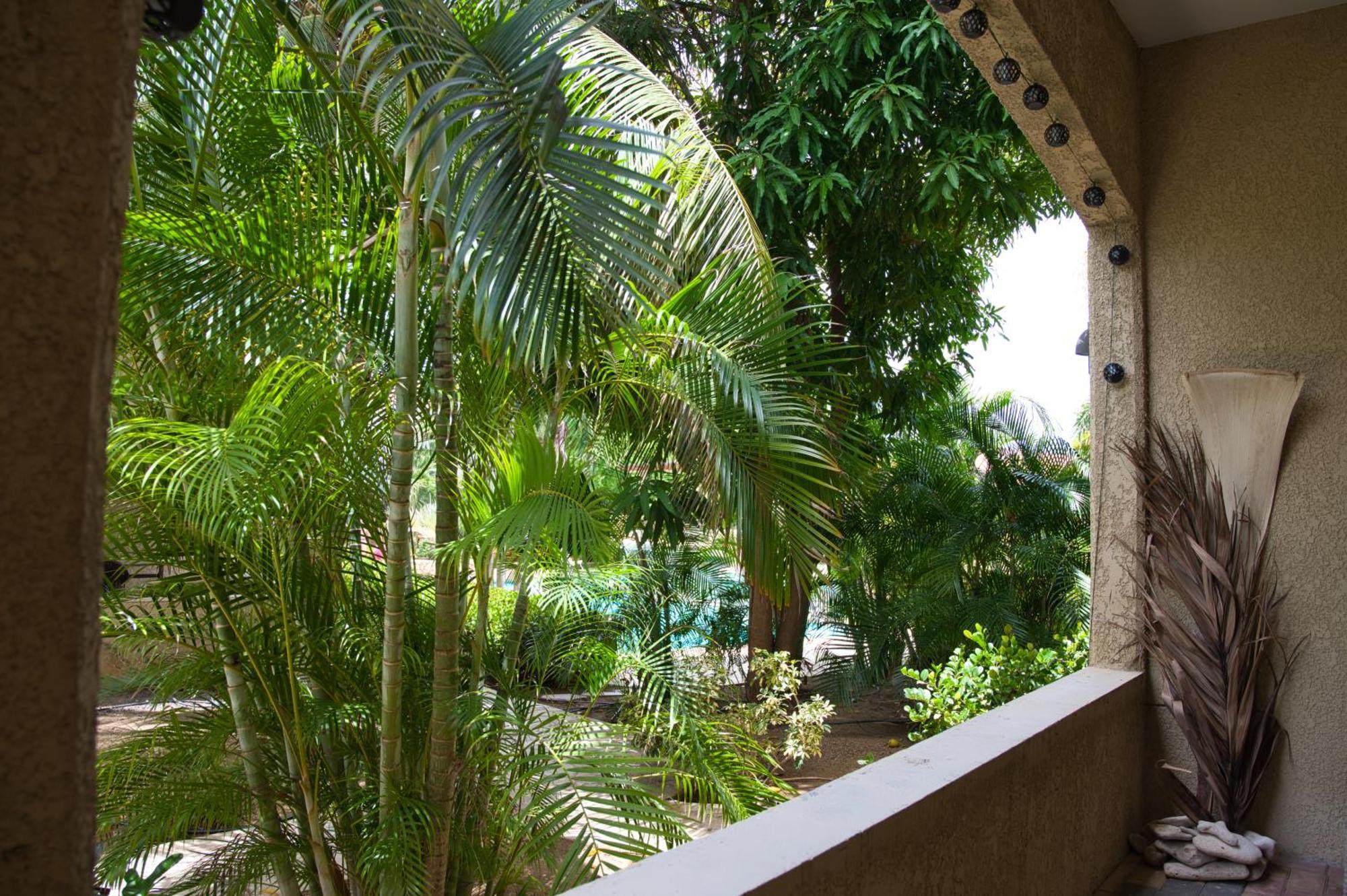 Caribbean Happyness Apartment วิลเลมสตัด ภายนอก รูปภาพ
